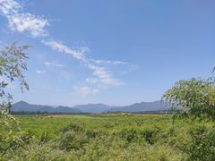-十三陵水库