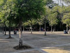 -滴水岩森林公园