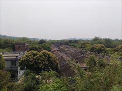 -开平碉楼文化旅游区马降龙景区