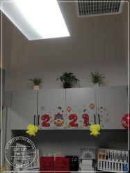 -CUT CUT Hair Salon