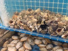 -港畔赶海蒸汽海鲜烧烤自助(仙螺岛店)
