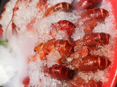 -红辣椒·川菜·火锅(张杨路店)