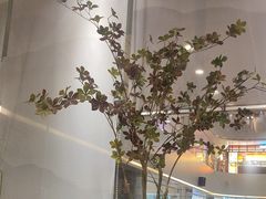 -吉庆莲年有鱼炭烤鱼(苏宁广场店)
