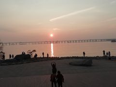 -宝安西湾红树林湿地公园