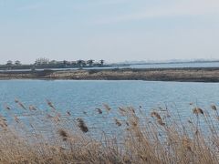 -呼兰河口湿地公园