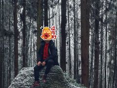 -山王坪喀斯特国家生态公园