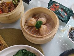 -陶缘一号·四季缘·老字号顺德菜·户外婚礼家宴(西滘店)