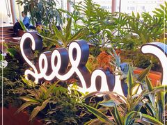 -Seesaw Coffee(朝阳大悦城店)