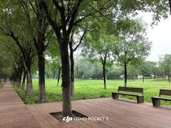 -汉长安城未央宫国家考古遗址公园