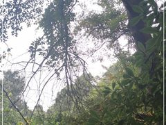 -九曜山