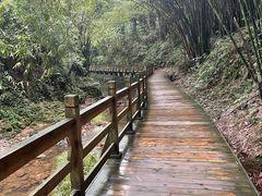 -凤栖山