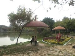 -金砂公园