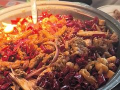 -淘蛙(潮州财富中心店)