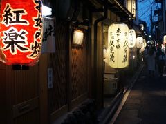 -花游小路江户川