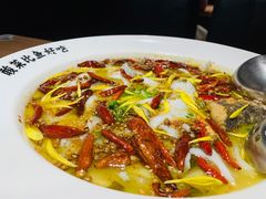 -太二酸菜鱼(沈阳万象城店)