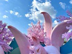 -成都欢乐谷