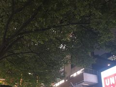 -瑞虹新天地月亮湾