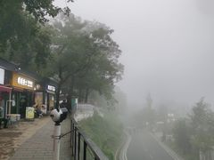 -茶颜悦色(岳麓山顶店)