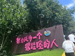 -奥帕拉拉水公园