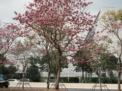 -深圳湾公园(南山区)