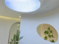 -VE专注问题肌·赛诺龙&科学美肤中心