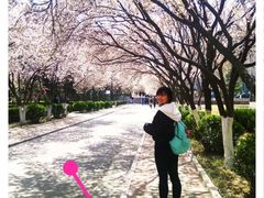 -山东师范大学(千佛山校区)