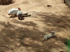 -羊亭河湿地公园