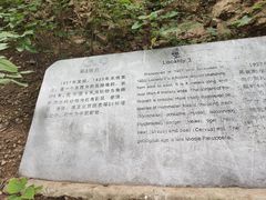 -周口店北京人遗址公园