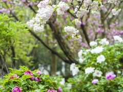 -江南大学(蠡湖校区)