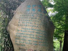 -上海吴淞炮台湾国家湿地公园