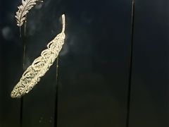 -上海当代艺术博物馆