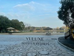 -上海佘山世茂艾美酒店