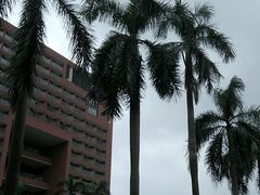 -中山大学学者灵芝(园南路店)