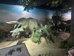 -国家自然博物馆