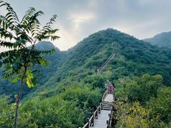 -大岭沟猕猴桃谷风景区