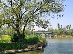 -上海长兴岛郊野公园