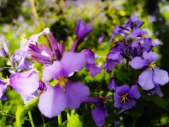 -停车场(临桂路)