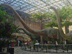 -国家自然博物馆