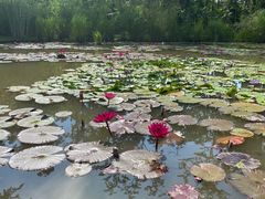 -中国科学院西双版纳热带植物园