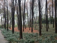 -宝界山林公园