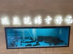 -马邦子·紫苏烤鱼(恒隆广场店)