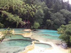 -黄龙山原始森林景区