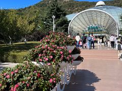 -大连森林动物园