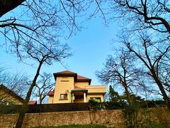 -八大关景区