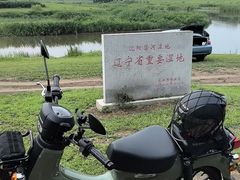 -蒲河岛湿地公园