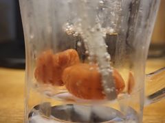 -鰓呼吸 石垣島 美崎町店