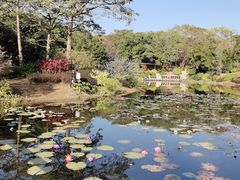 -云溪植物园