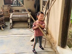 -上海都市菜园