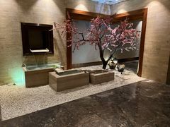 -爱乐国际温泉水疗会