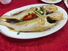 -蛇口康乐快餐鱼仔档(翠苑小区店)